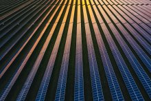 ¿Qué le depara el futuro a los bonos verdes tras un año de resiliencia? | BNPP AM